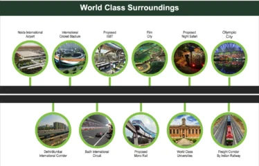 World Class Surroundings